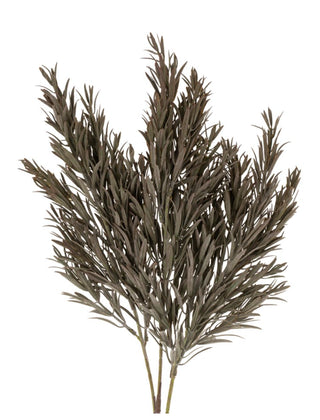 Honey Bracelet Spray