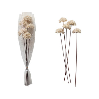Dried Natural Sesame Flower Bunch (Contains 5 Pieces) (Each One Will Vary)