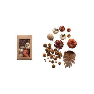 Dried Natural Organic Pumpkin Shaped Mix in Box, Multi Color (Each One Will Vary)