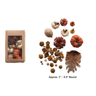 Dried Natural Organic Pumpkin Shaped Mix in Box, Multi Color (Each One Will Vary)