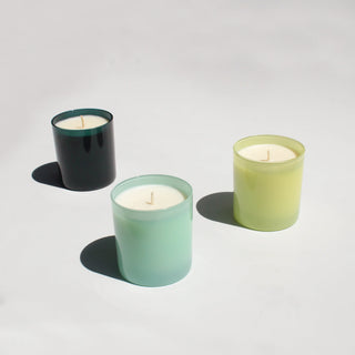 Garden 9 oz. Hue Candle (Tomato Vine)