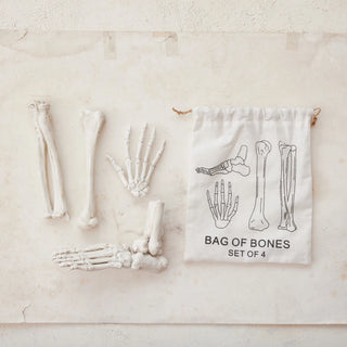Resin Bag of Bones, White, Set of 4 in Printed Drawstring Bag
