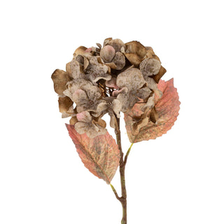 Faded Hydrangea Stem S, Grey
