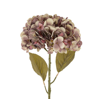Faded Hydrangea Stem L, Purple