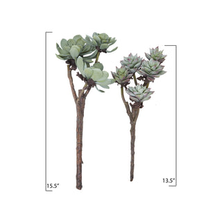 Faux Succulent Branch
