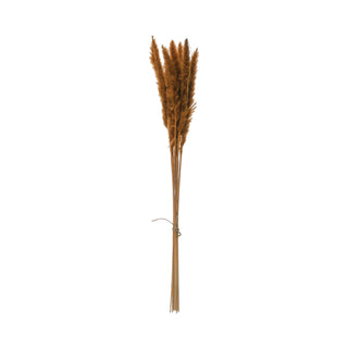 Dried Pampas Grass Bundle orange