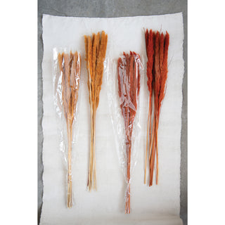Dried Pampas Grass Bundle orange
