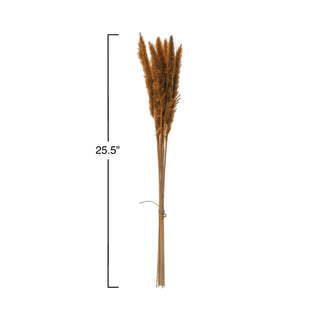 Dried Pampas Grass Bundle orange