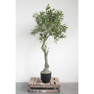 Potted Faux Olive Tree