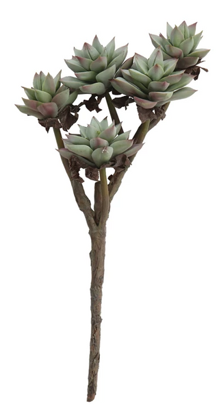 Faux Succulent Branch